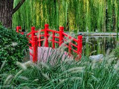 -玲珑塔公园