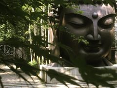 -杭州植物园