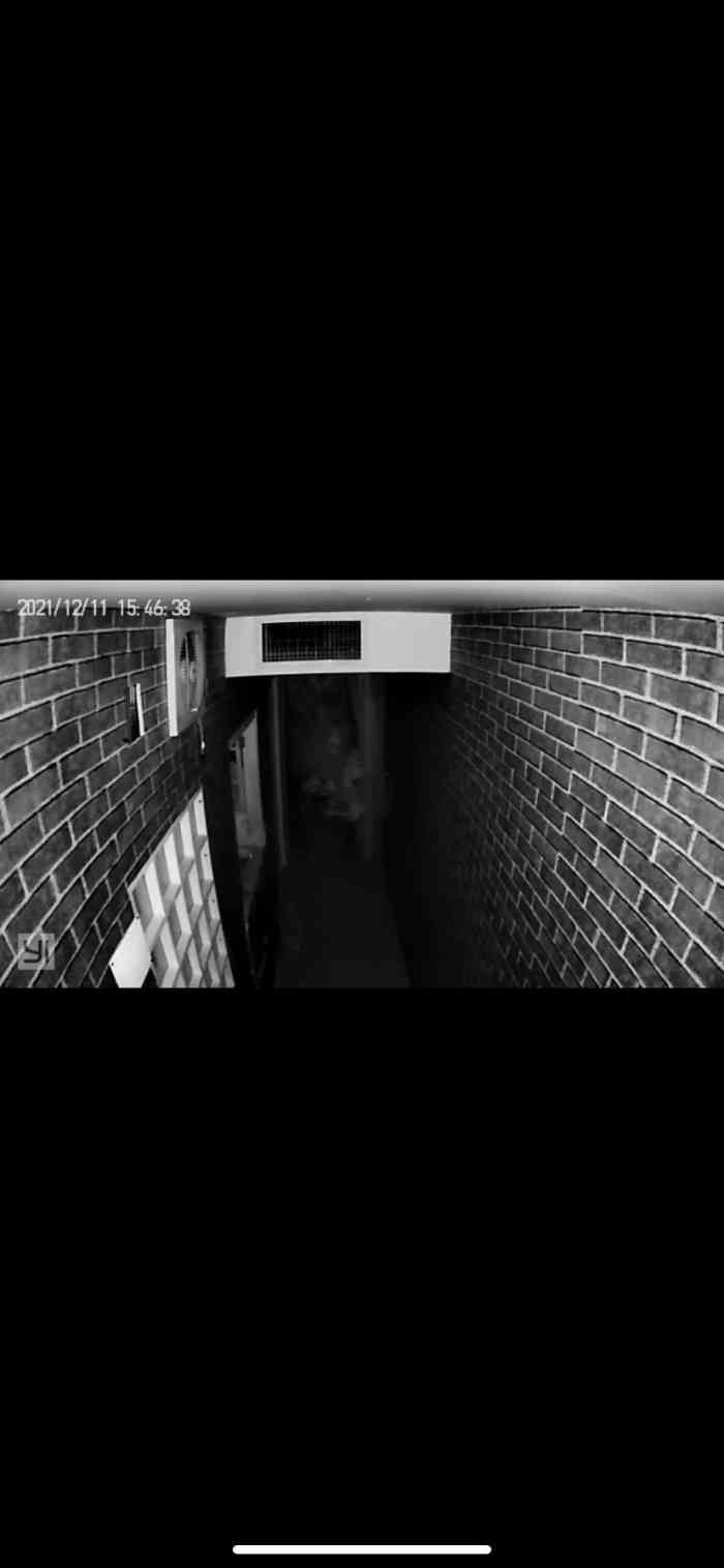 谜镇·校墓处密室逃脱(圆融旗舰店)-"性价比还行吧 有学生价对的起