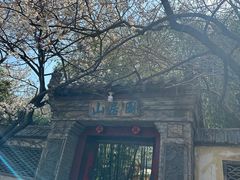 -老张烤羊(王哥庄店)