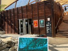 -怀托摩萤火虫洞