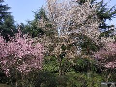 -荆川公园