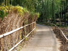 -常寂光寺