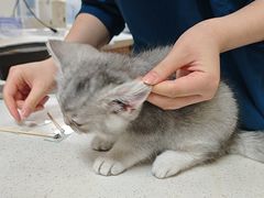 -联合动物医院(光谷诊疗中心)