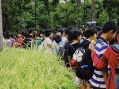 -大阪历史博物馆