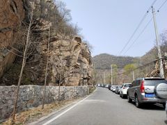 -大岭沟猕猴桃谷风景区