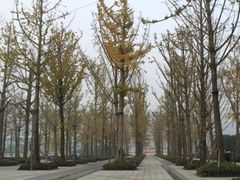 -百林公园-两江幸福广场