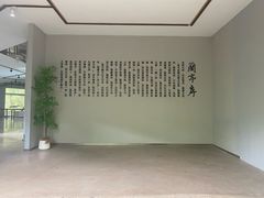 -野象谷景区