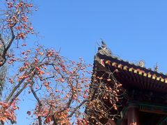 -华清宫景区