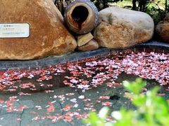 -威海天沐温泉度假区