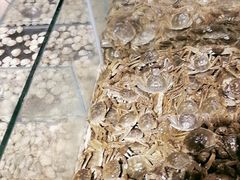 -8080美食汇自助烤肉火锅餐厅(镇江宝龙店)