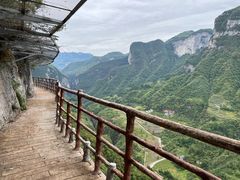 -鹿院坪生态旅游景区