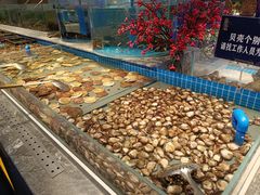 -一方渔歌蒸汽海鲜自助(文化路万达广场店)