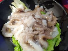 更换的活八爪鱼-捞围鲜·港式打边炉(海阳路店)