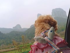 -楠溪江风景名胜区