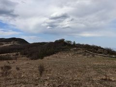 -白草畔自然风景区