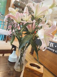 -诸子医中医轻疗馆