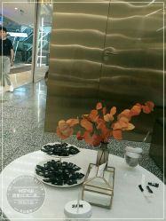 -IP SALON