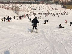-蓟县盘山滑雪场