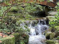-中国茶叶博物馆(双峰馆区)