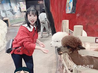 想去动物园何必去西郊那么远