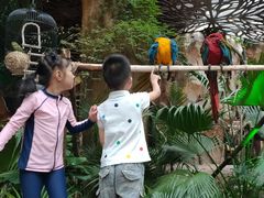 -杭州开元森泊度假乐园