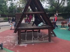 -成飞公园