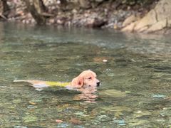 -西岭雪山大飞水景区