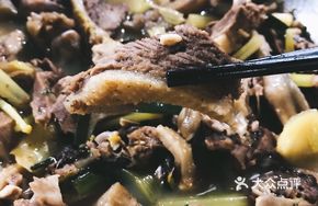 Sour Vinegar Goose