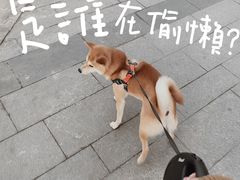 -Fiume福弥意大利餐厅