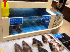 水产区-双井轩(双井店)