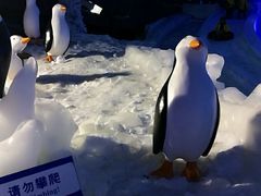 -世界之窗阿尔卑斯冰雪世界