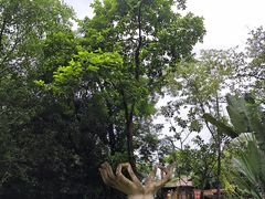 -独树成林