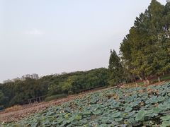 -白塘生态植物园