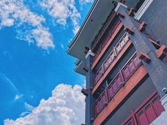 -王借岗森林公园