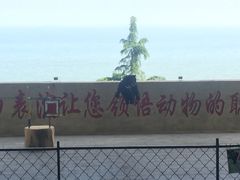 -东方熊牧场