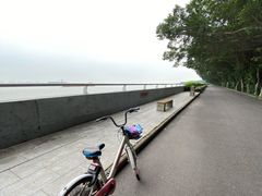 -大湾区中央湿地公园