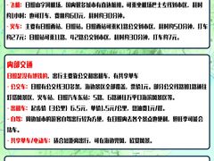 -日照海滨国家森林公园