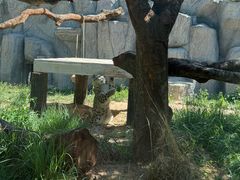-青藏高原野生动物园