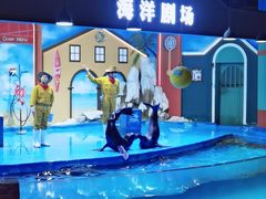 -重庆欢乐海底世界