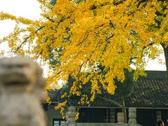 -西园戒幢律寺