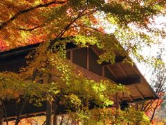 -三千院