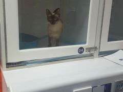 -宠颐生动物医院·心脏科·保险定点(锦阳分院)