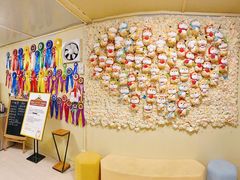 -柴犬高等学院·狗咖·柴犬售卖·宠物训练