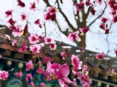 -潭柘寺景区