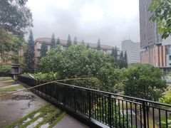 -平安（深圳）金融教育培训中心