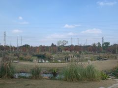 -上海长兴岛郊野公园