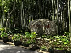 -上海醉白池公园