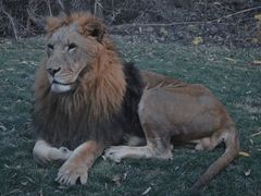 -北京野生动物园