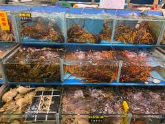 水产区-蛇口市场